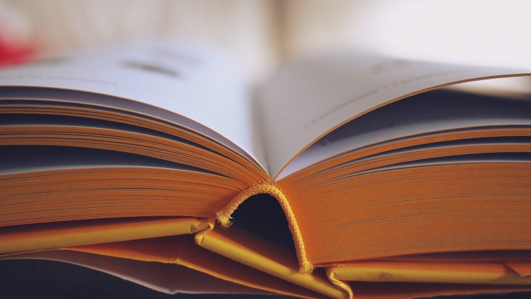 A Beginner’s Guide to Literary Erotica