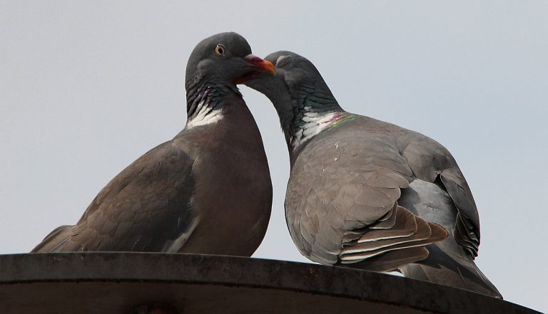 Flirting: It’s not all about sex