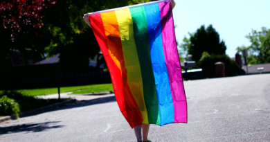Person holding LGBT flag