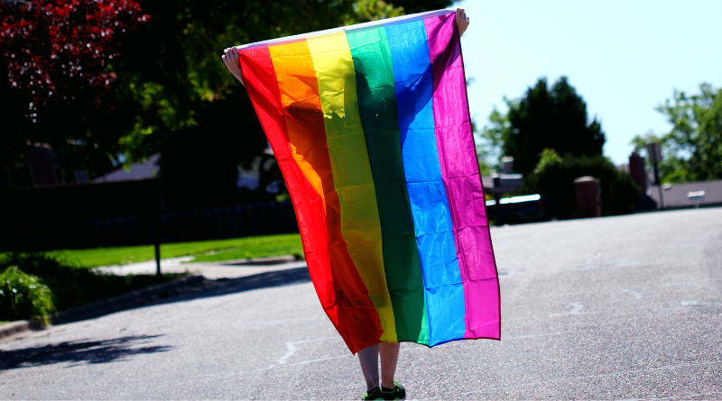 Person holding LGBT flag