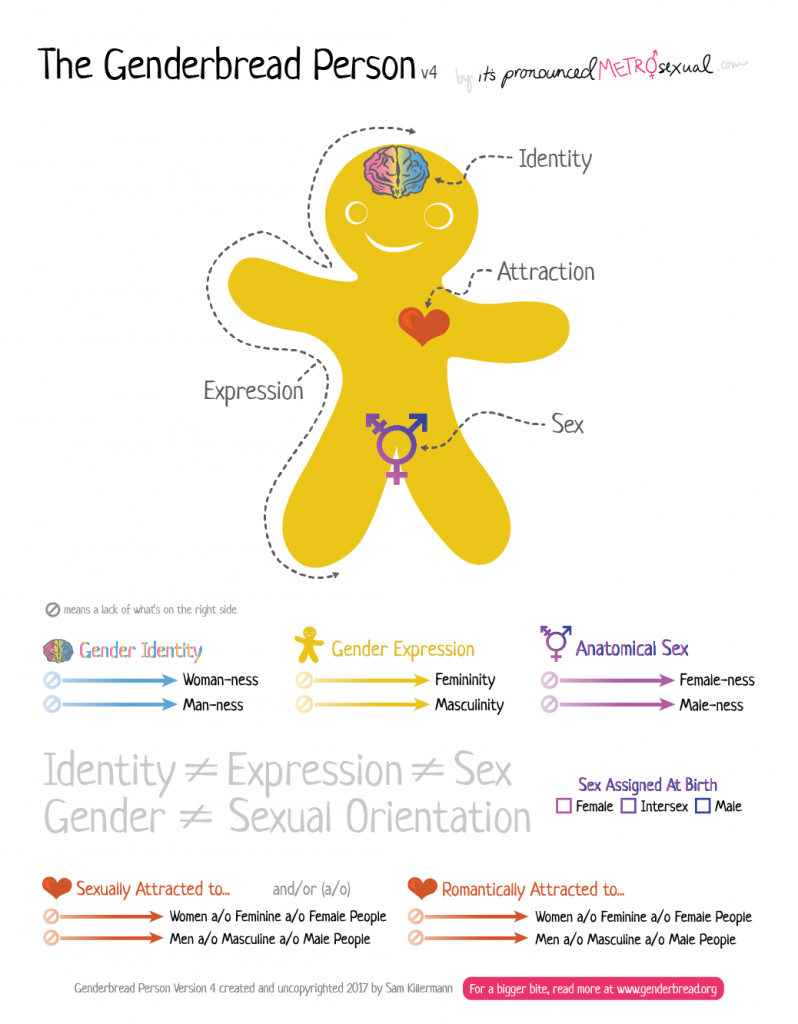 Genderbread Person describes gender identity, gender expression, sex, and attraction